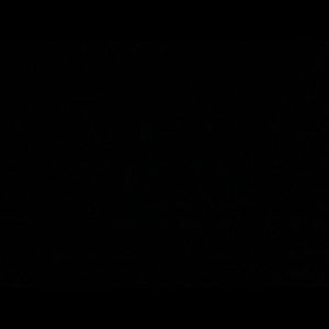 Meet your Posher, Myisha